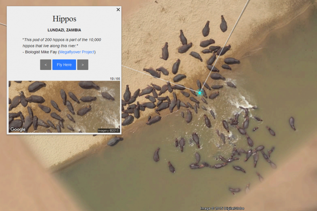 Vydajte sa na safari s novým doplnkom Google Earth