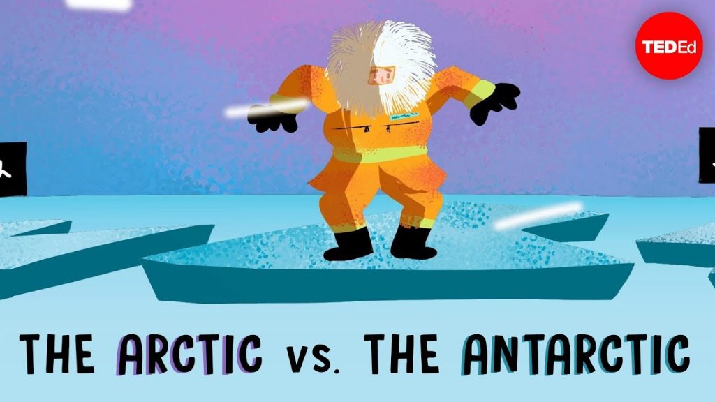 Spoznajte rozdiel medzi Arktídou a Antarktídou v krátkom videu