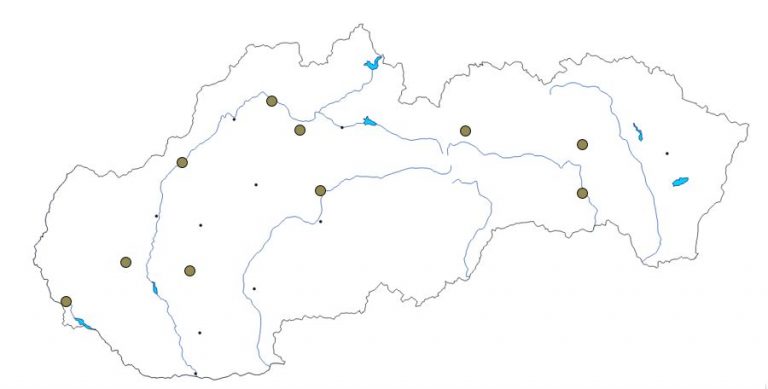 Mestá Slovenska (slepá mapa) - Lepšia geografia